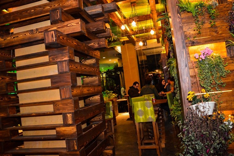 Fertil Dbayeh on Saturday Night